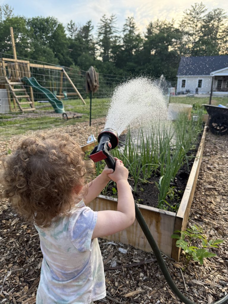 Child watering a raised bed garden with a hose
