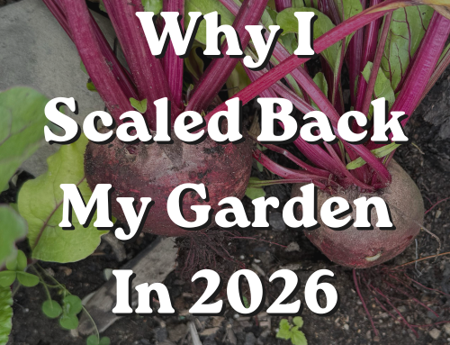 I Downsized My Garden — Here’s Why